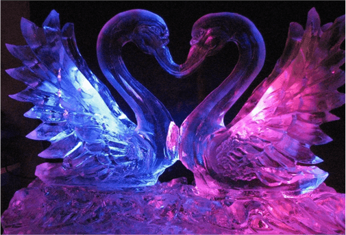 Two swans are illuminated in blue and purple light.